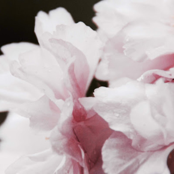 Meet your Posher, Yuka - Picture 1 of 1